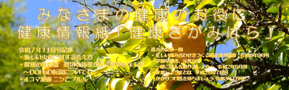 健康さがみはらバナー 健康さがみはらバナー