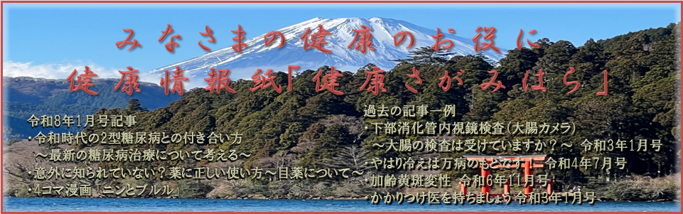 健康さがみはらバナー
